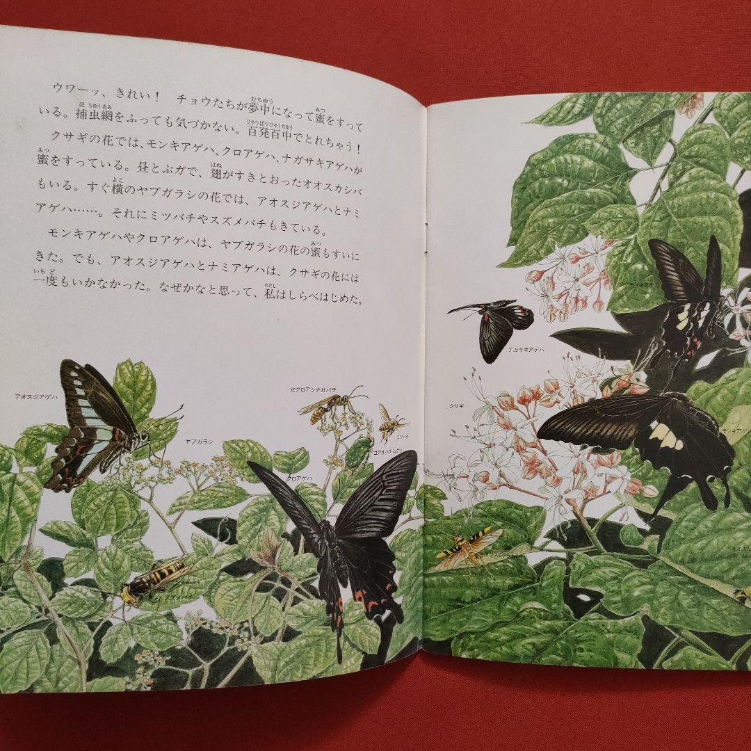 たくさんのふしぎ　かがくのとも　食草　花と虫　花がえらぶ虫がえらぶ　福音館