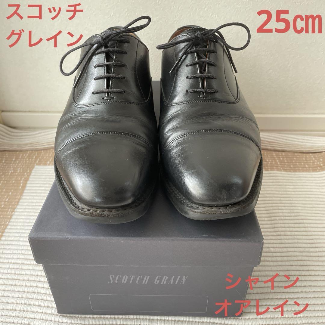 スコッチグレイン シャインオアレイン 25㎝