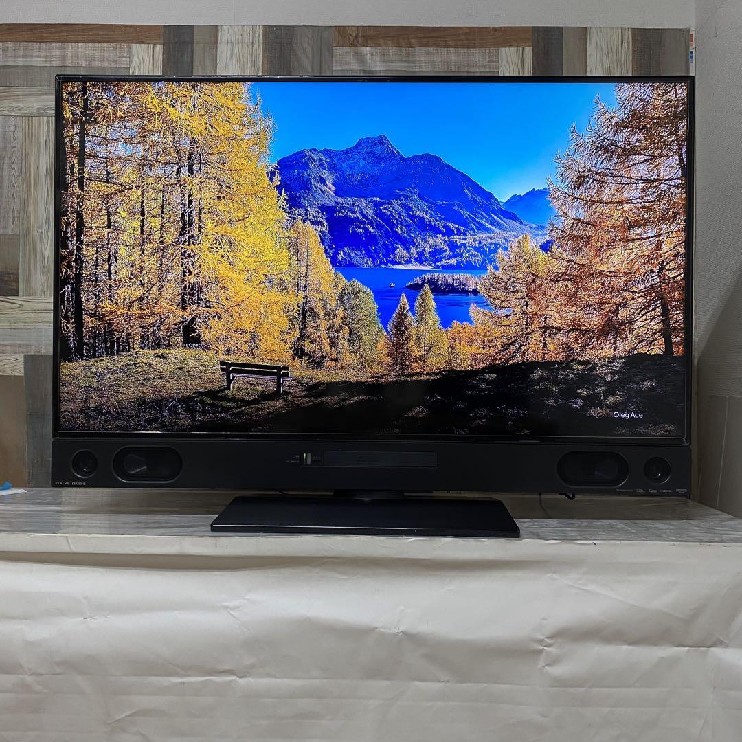 三菱50型4Kブルーレイ＆HDD2TBネット視聴可