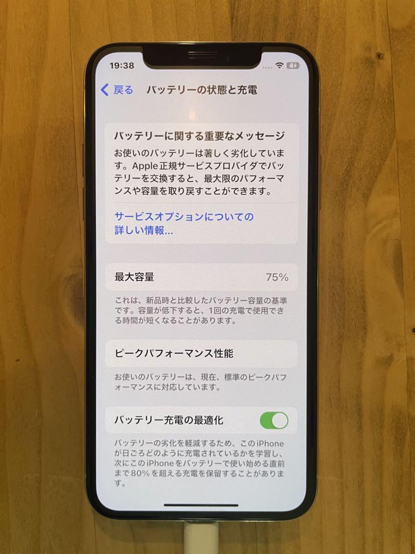 シルバー 本体