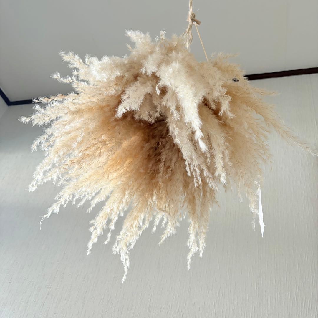 パンパスグラス フライングリース 33~37cm ホワイトフェザー リース