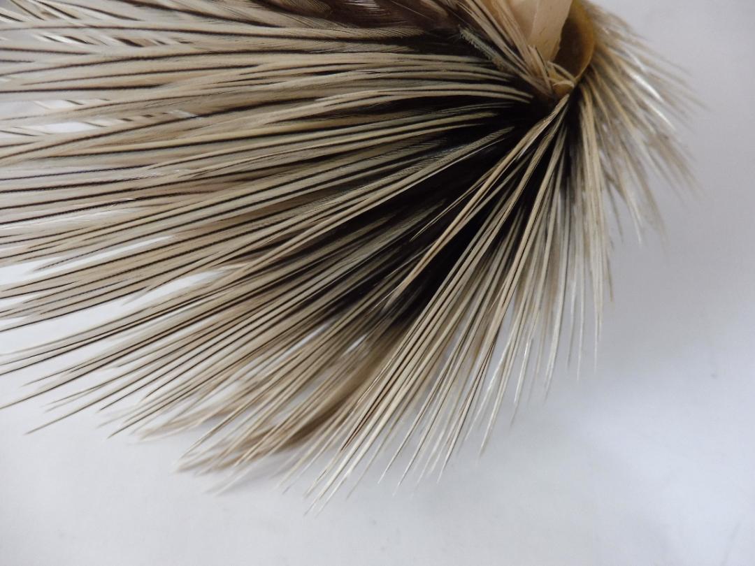 ゴールデンバジャー WHITING Bronze Golden Badger