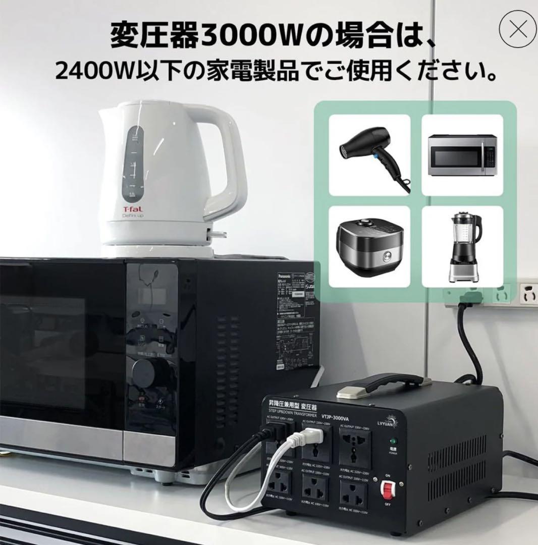 LVYUAN VTJP-3000 変圧器 3000VA