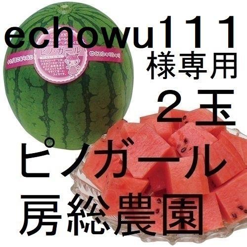 ２・神奈川県・echowu1110・ピノガール