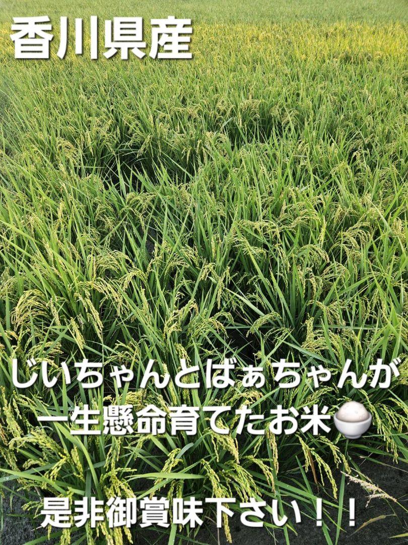 めーたん☆ヒノヒカリ１０キロ(精米)