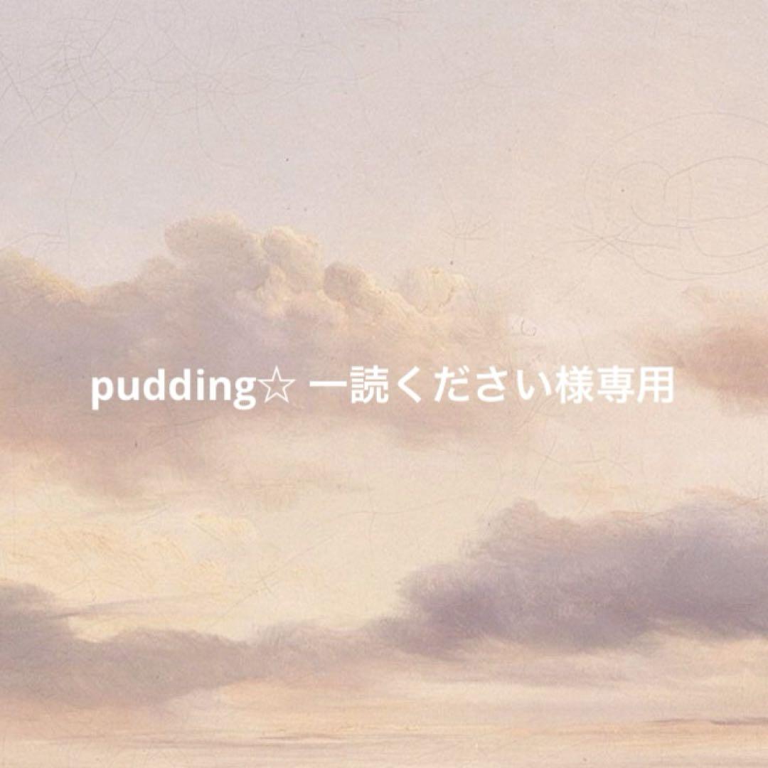 pudding☆ 一読ください様専用