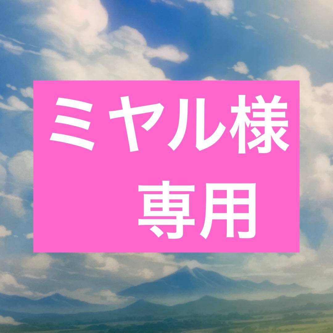 ⭐︎ミヤル様専用⭐︎