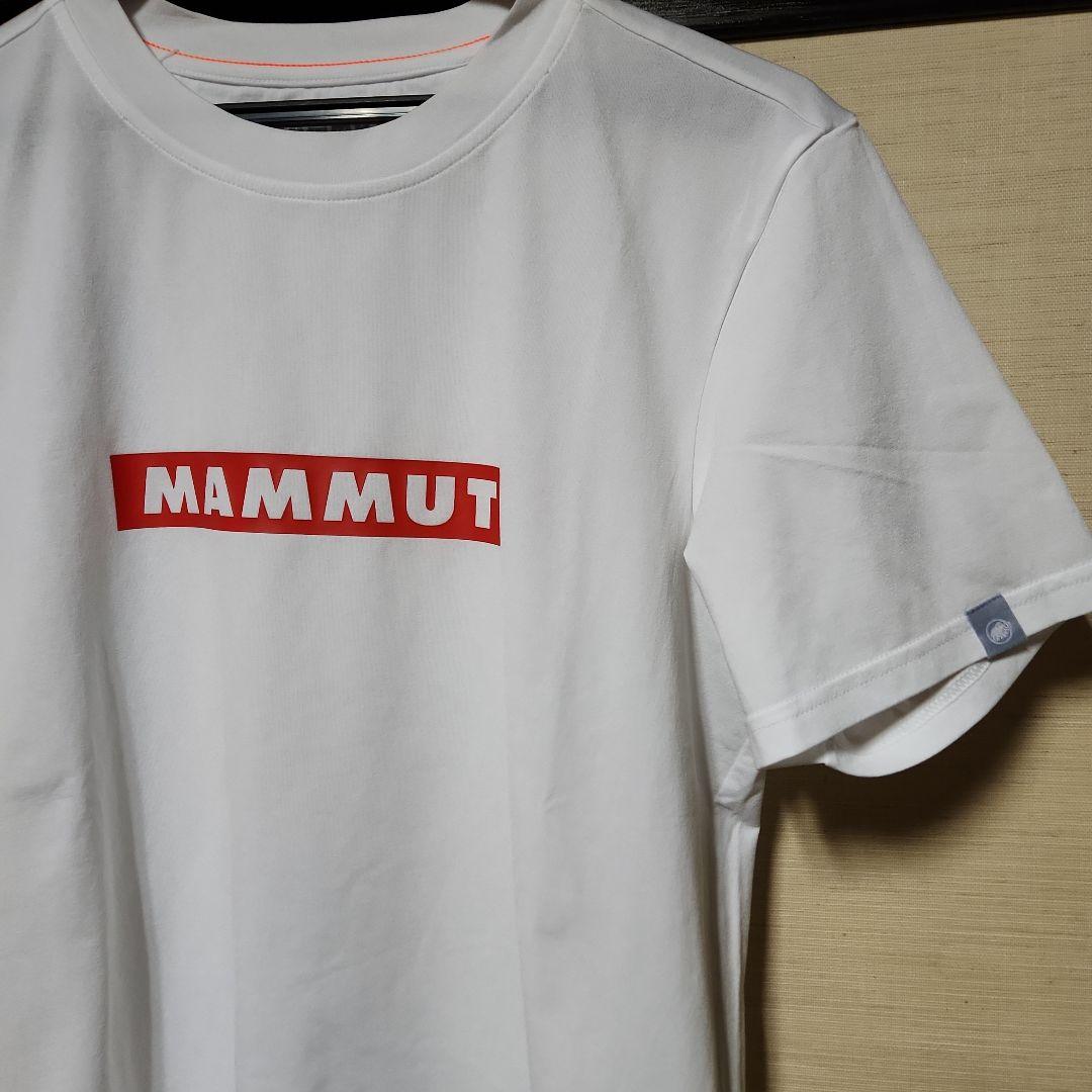マムートMAMMUTのTシャツ　SizeL
