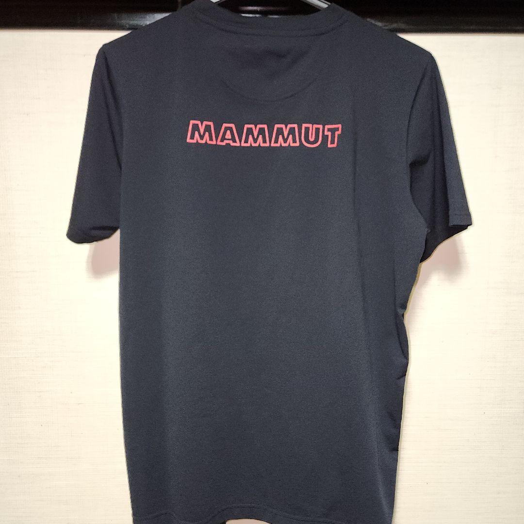 マムートMAMMUTのTシャツ　SizeL