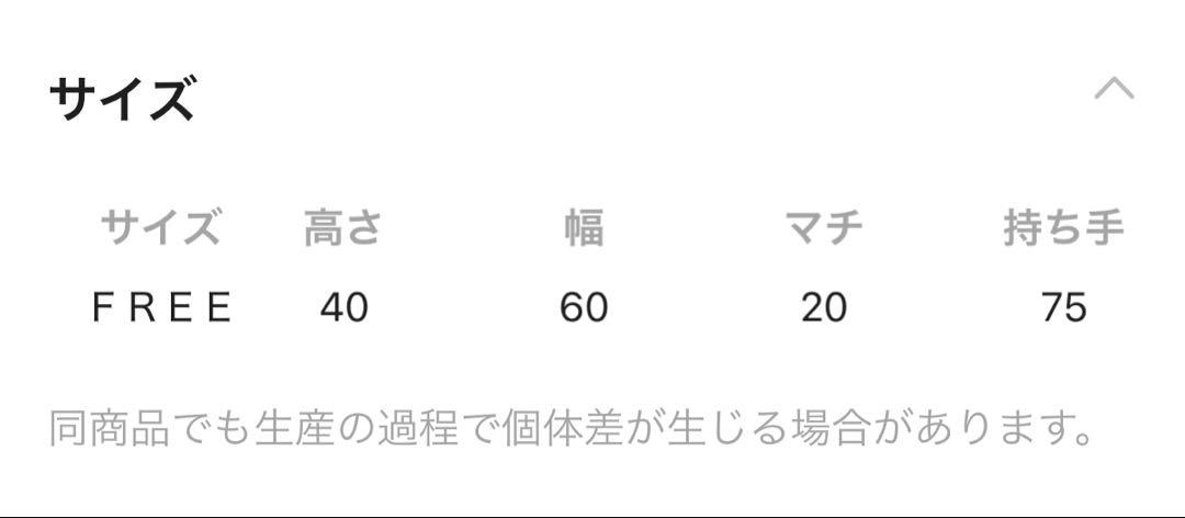 ワールドペガサス コラボ 3WAYオリジナルバッグ ヒョウ柄 タグ付き未開封