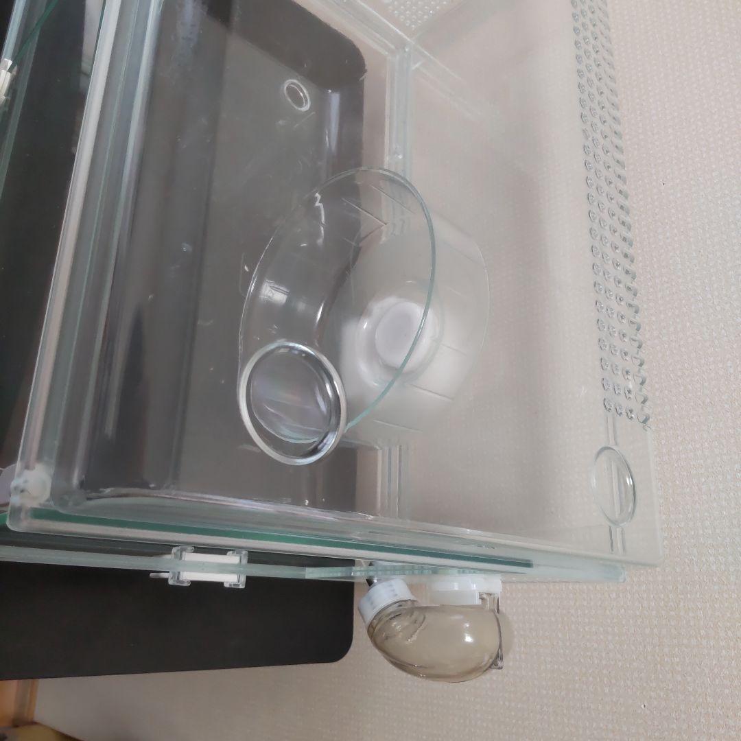 ジェックス Harmony グラスハーモニー450と飼育セット一式お付けします