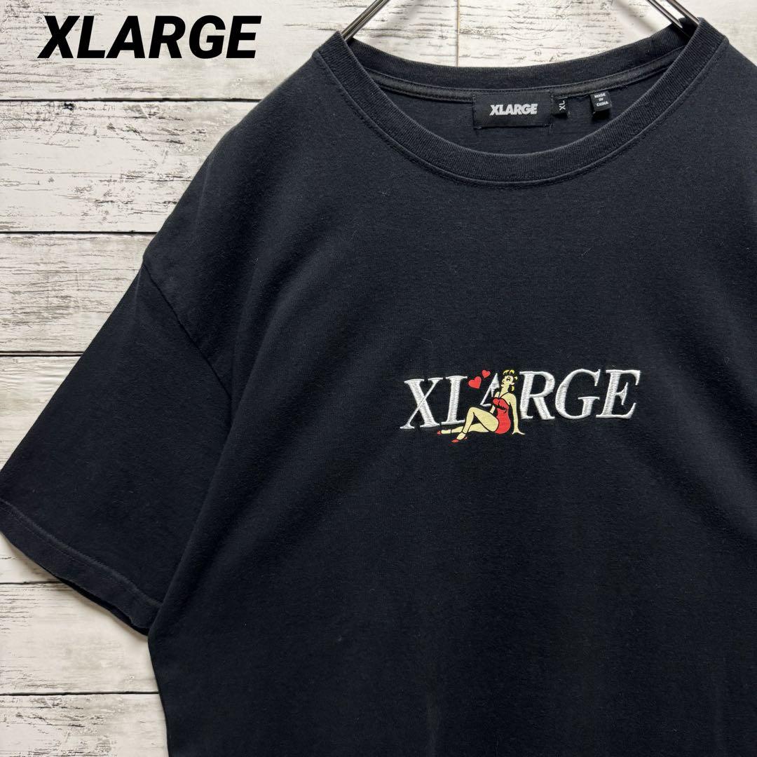 a745【希少なXL】エクストララージ 刺繍ビッグロゴ 人気色 半袖Tシャツ