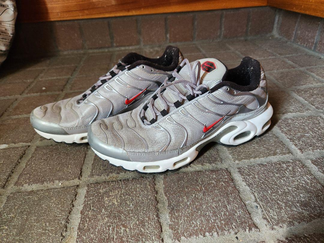 Nike Air Max Plus Metallic Silver/靴