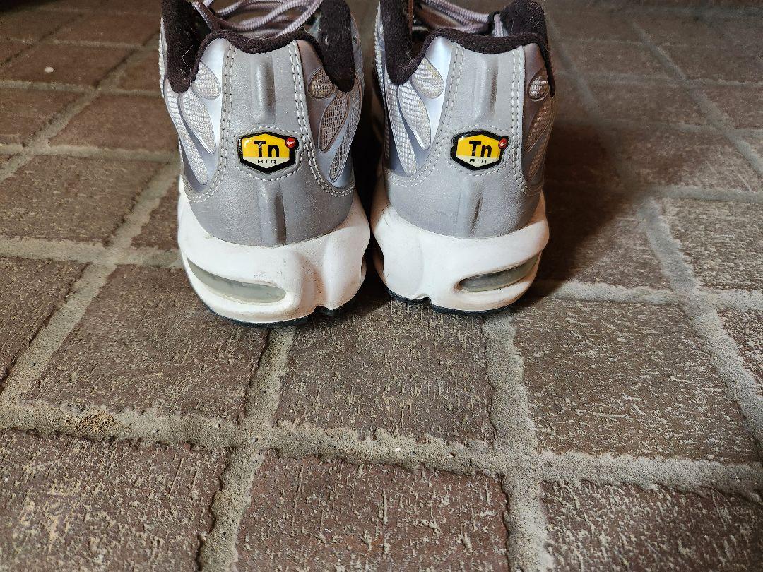 Nike Air Max Plus Metallic Silver/
