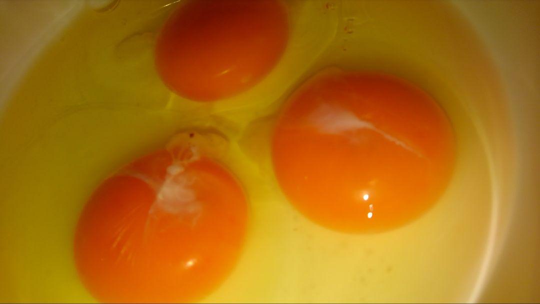 平飼い卵80個2/10常温発送あんず