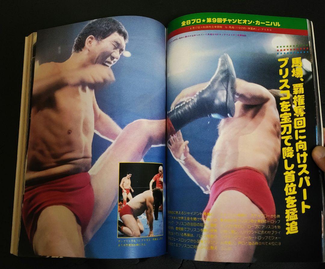 プロレス 猪木闘魂30戦、虎戦士タイガーマスク、もっと熱く