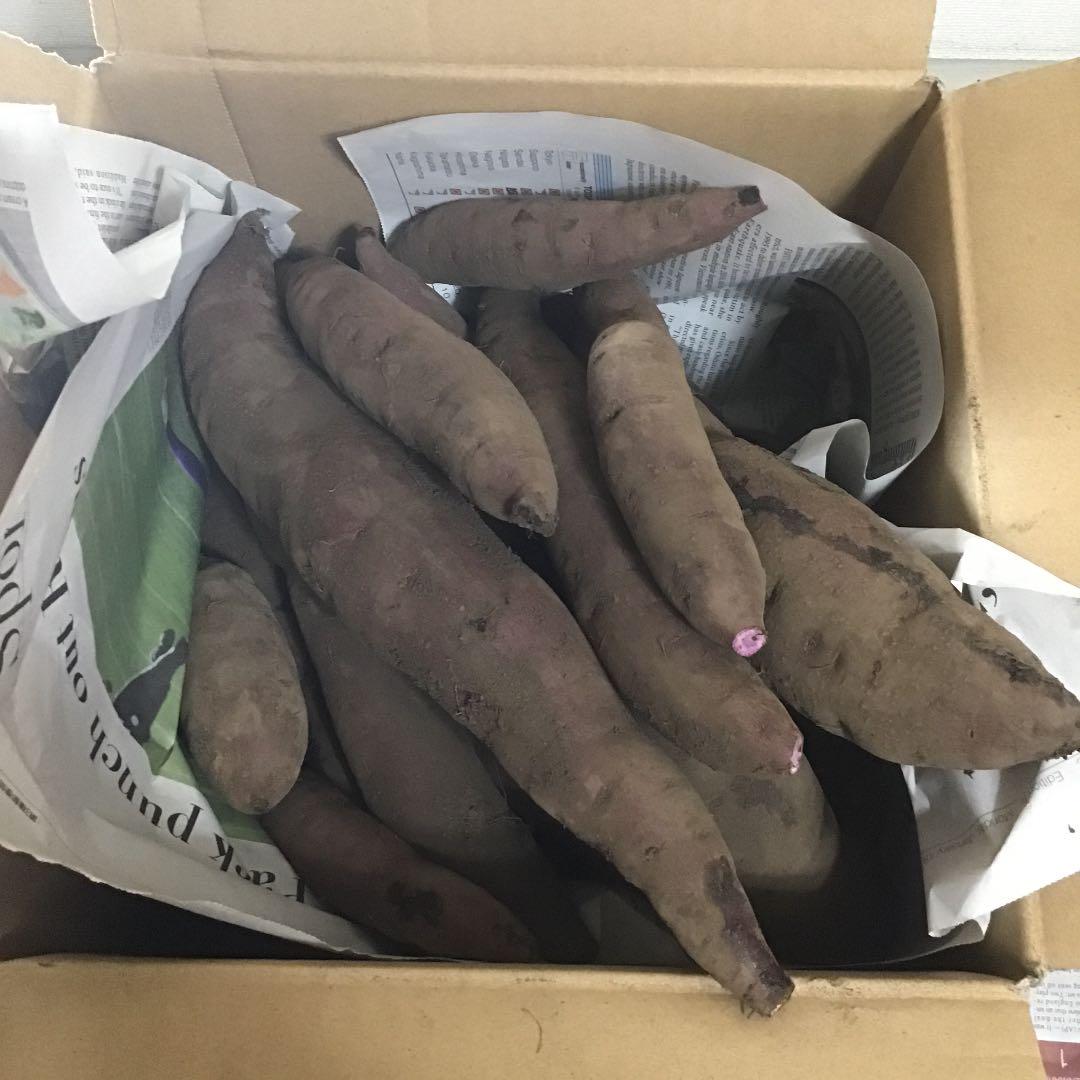 日本廉価 ninosan様専用熊本県産 さつまいも ふくむらさき 5kg 無農薬 日本特売中その他,食品 - dcwaindefla.dz 日本廉価 ninosan様専用熊本県産 さつまいも ふくむらさき 5kg 無農薬 日本特売中その他,食品 - dcwaindefla.dz