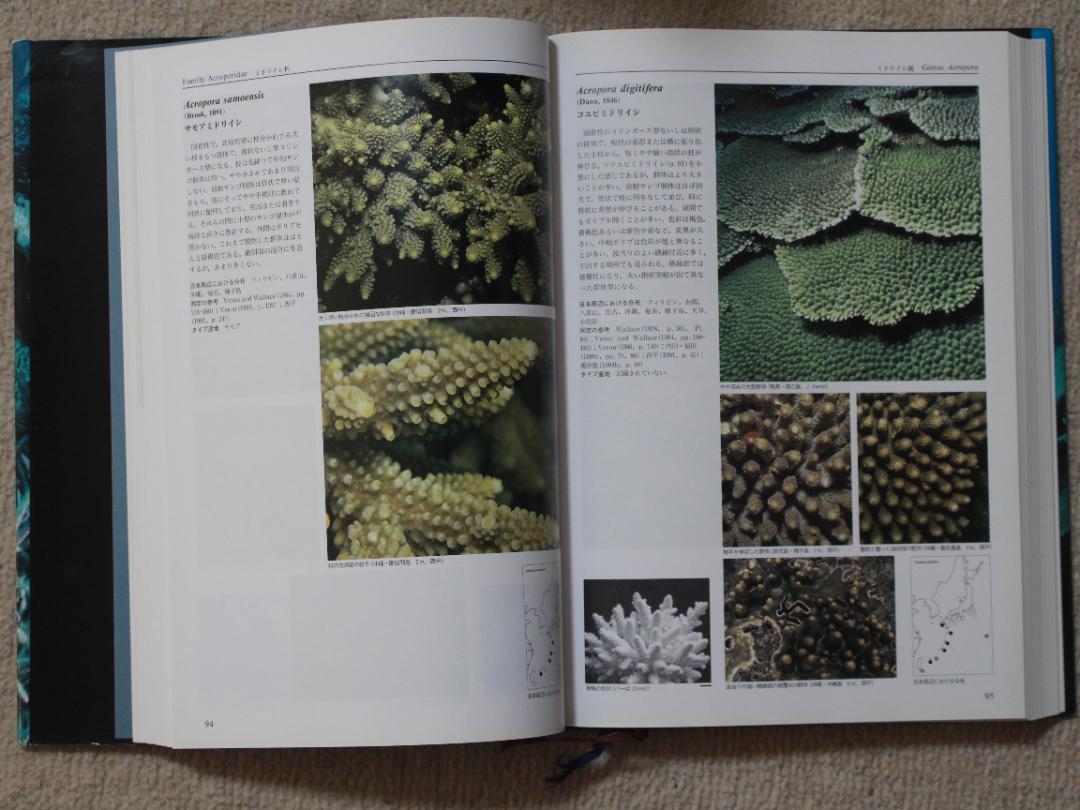 絶版本、美品】日本の造礁サンゴ類 図鑑 ダイビング 沖縄 底生生物 絶版本、美品】日本の造礁サンゴ類 図鑑 ダイビング 沖縄 底生生物