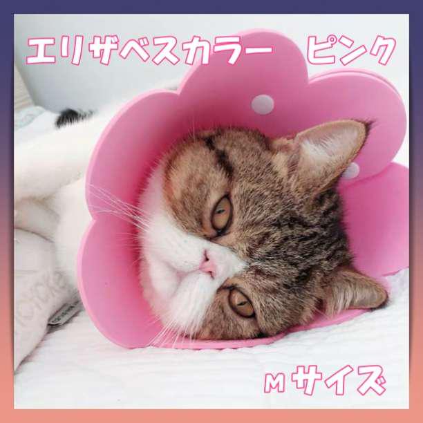 ピンク猫ページ ピンク Mサイズ エリザベスカラー 花 ペット 犬 猫 兼用 術後