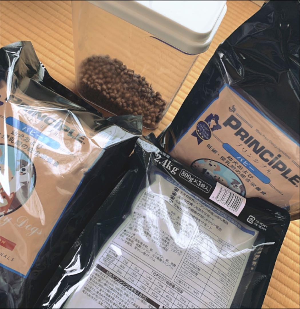 HOT限定SALE 美品 仔犬 パピー 小型犬 犬用品セット hVW2N-m66596996376 高評価在庫