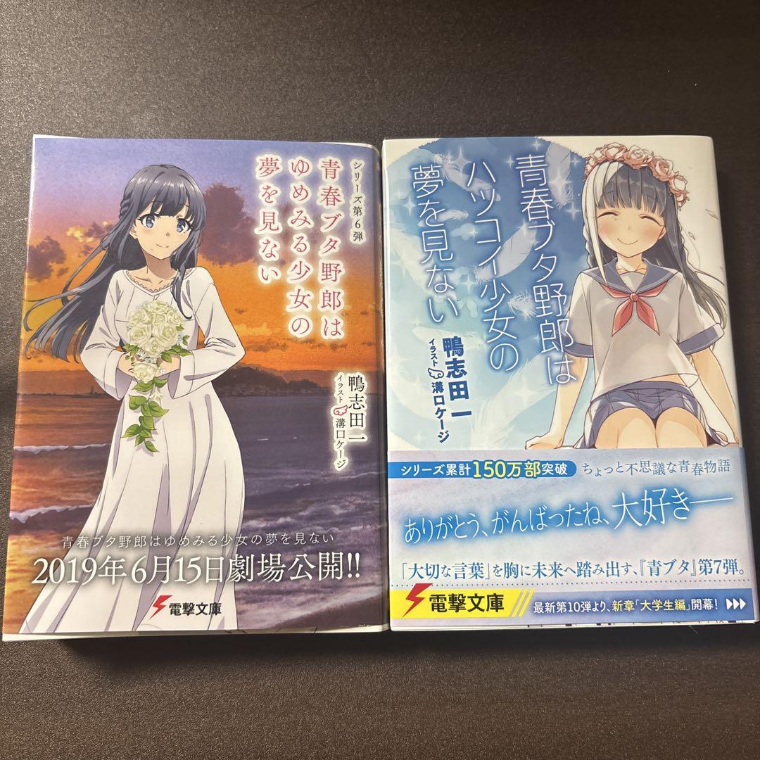 青春ブタ野郎はゆめみる少女の夢を見ない，ハツコイ少女の夢を見