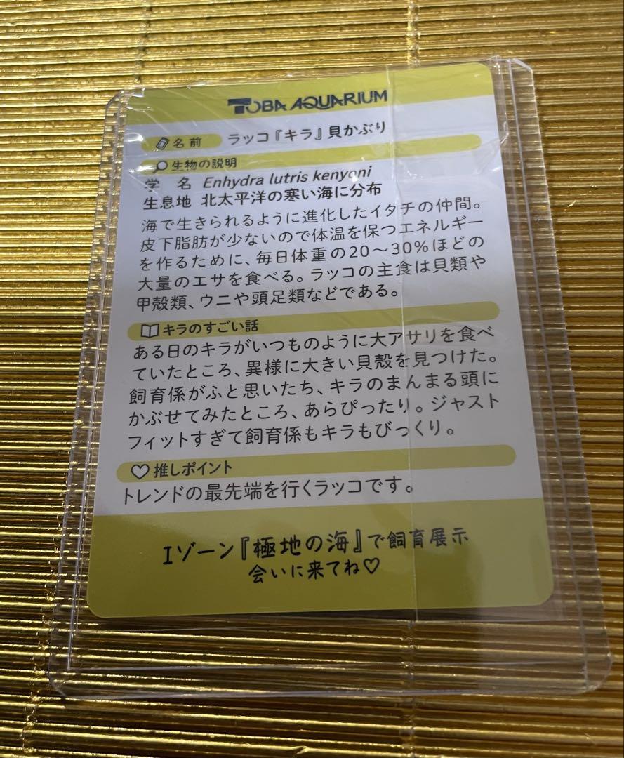 激レア】鳥羽水族館 ⭐️コレクションカード ⭐️キラちゃん