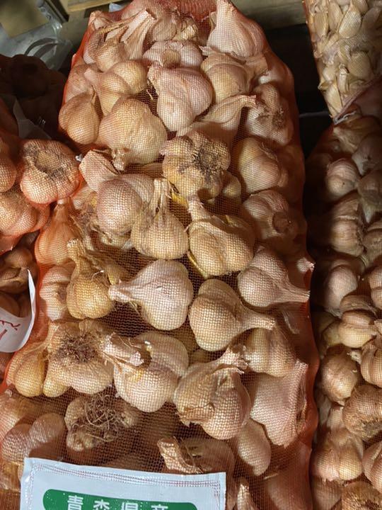 正規販売店 お買得☆青森県バラにんにく10Kg S ペダル別売り|食品,野菜 - rustavi.gov.ge 正規販売店 お買得☆青森県バラにんにく10Kg S ペダル別売り|食品,野菜 - rustavi.gov.ge