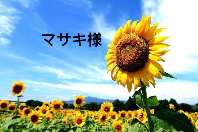 マサキ様