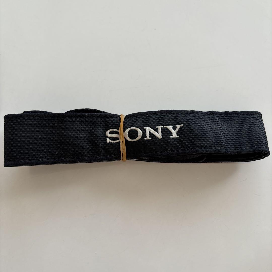 SONY α6000 ILCE-6000 ダブルレンズセット