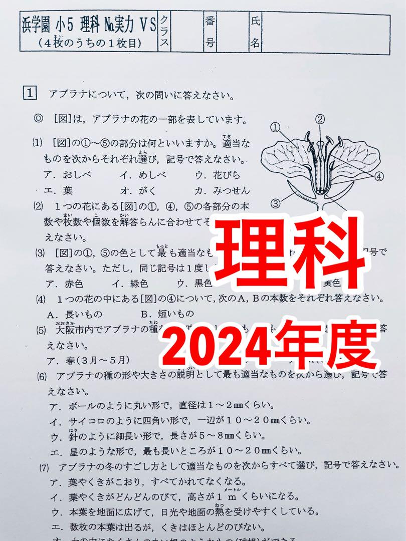 浜学園　最新版　2024年　小5　復習テスト　Vクラス　算国理　3科目x