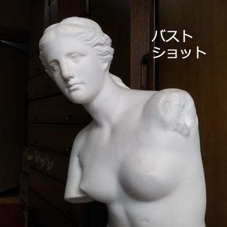 【ミロのビーナス：半身像】石膏像　デザイン　インテリア　高さ５５cm