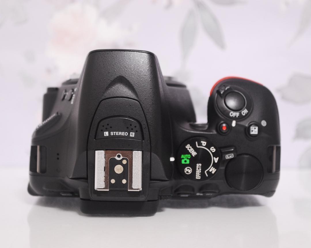 D5500