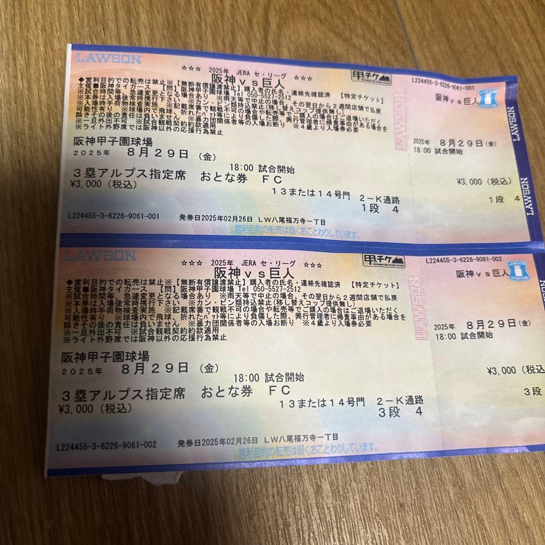 阪神タイガース8/29 3塁アルプス