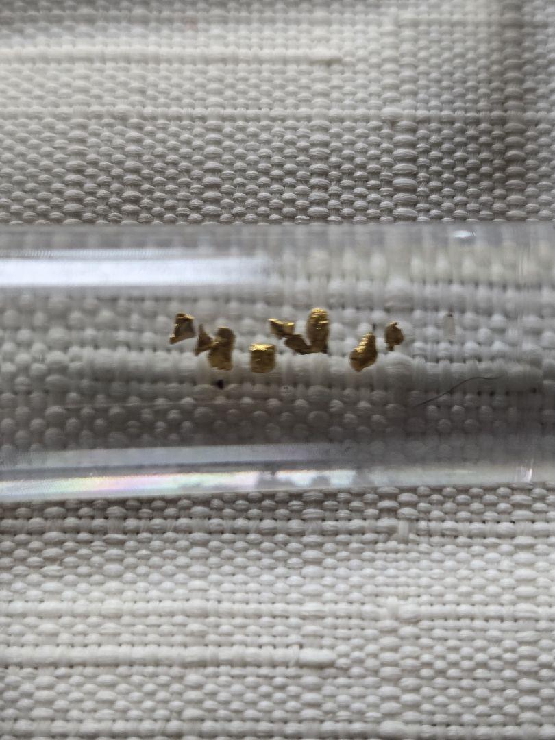 砂金 18粒ほど　 山梨砂金採り体験