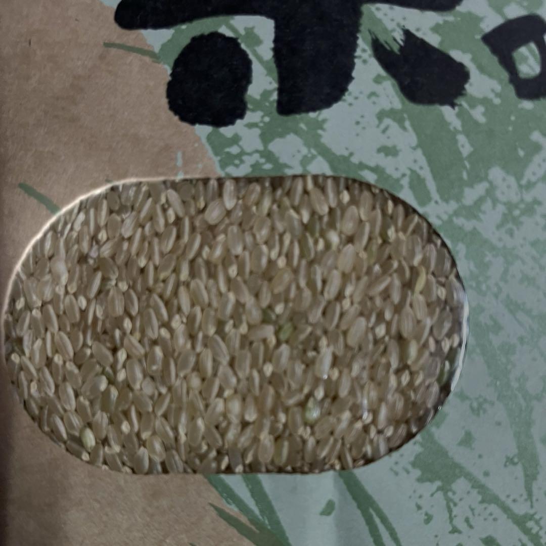 2024年産ヒノヒカリ玄米20 kg 【送料無料】