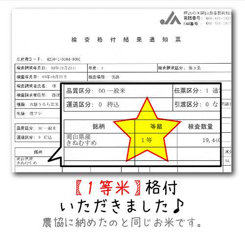 公式サイト 減農薬 新米 令和3年 1等米 特A【きぬむすめ】20kg 岡山県エコファーマー - 米