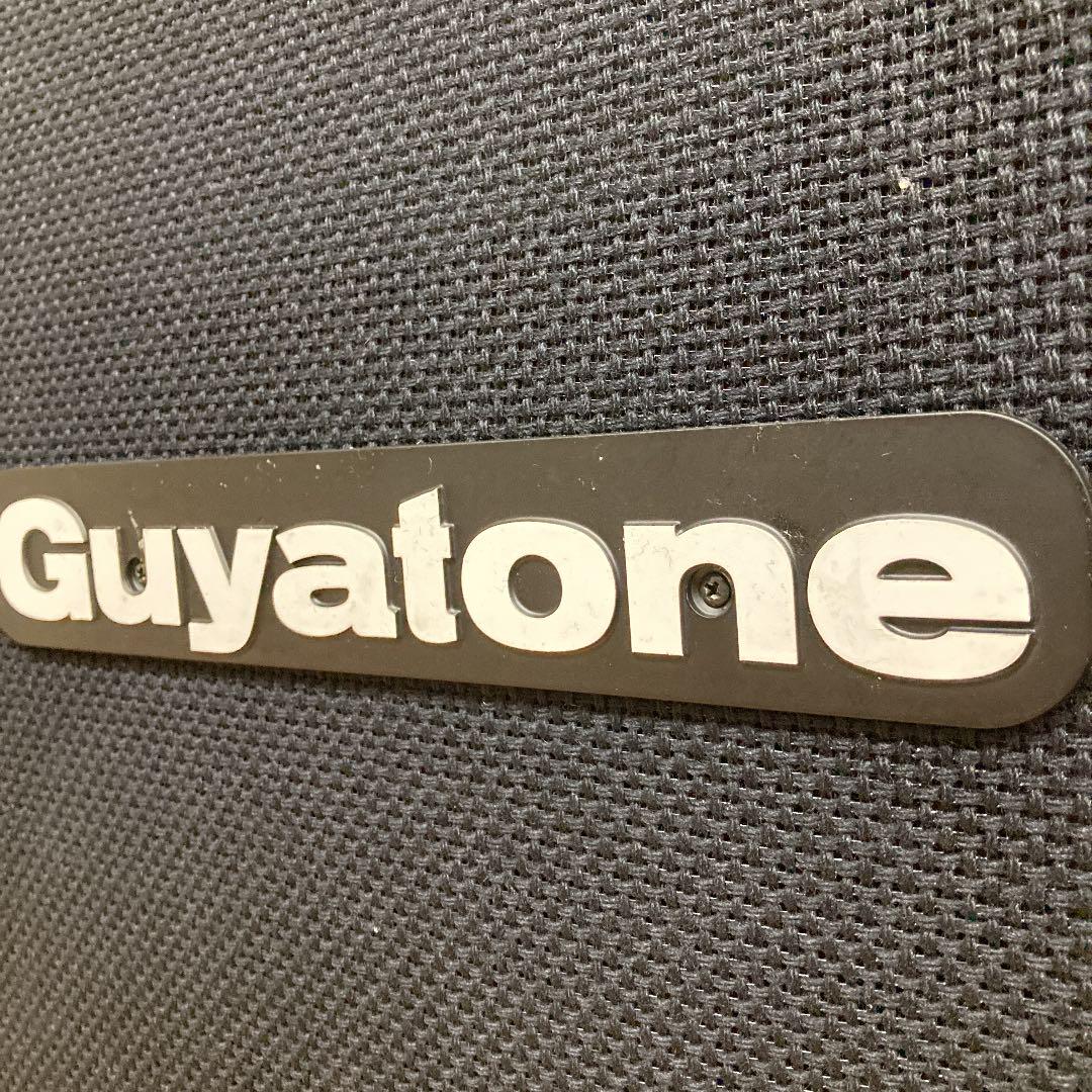 最終値下】Guyatone グヤトーン キャビネット 2発 ③ - アンプ