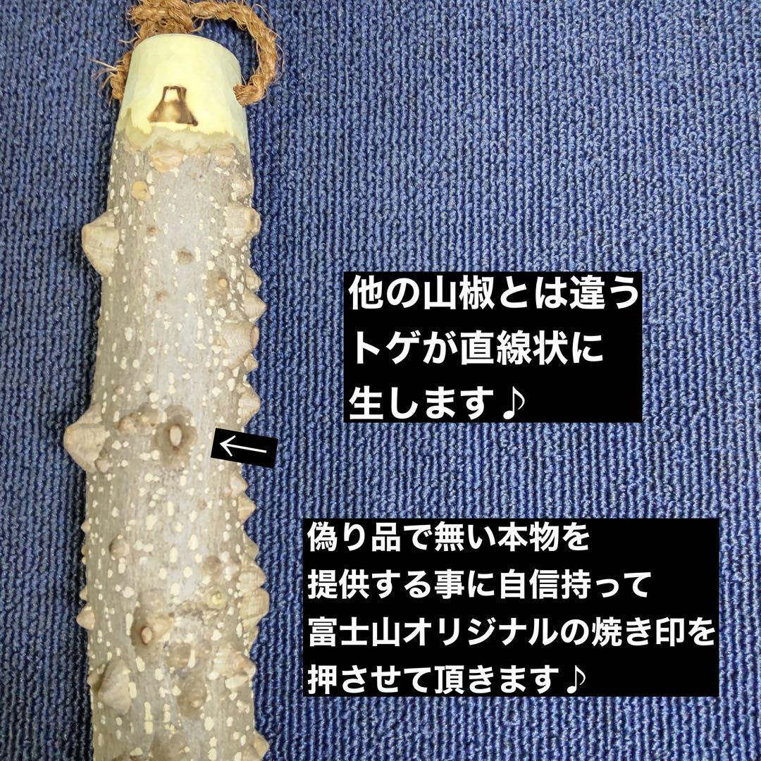 国産天然本山椒/本山椒の偽り品にご注意を - メルカリ
