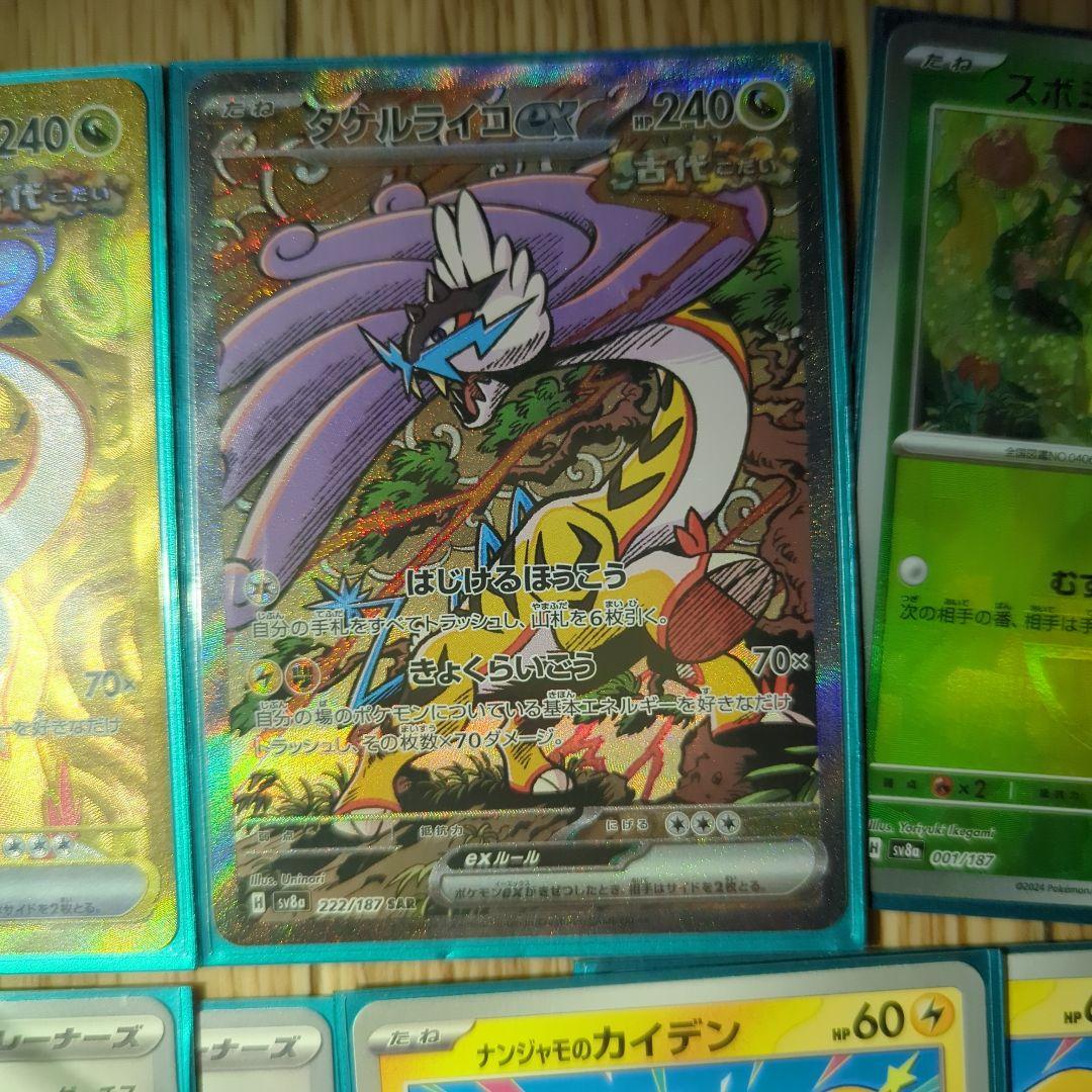 タケルライコEX&ナンジャモのポケモンデッキ