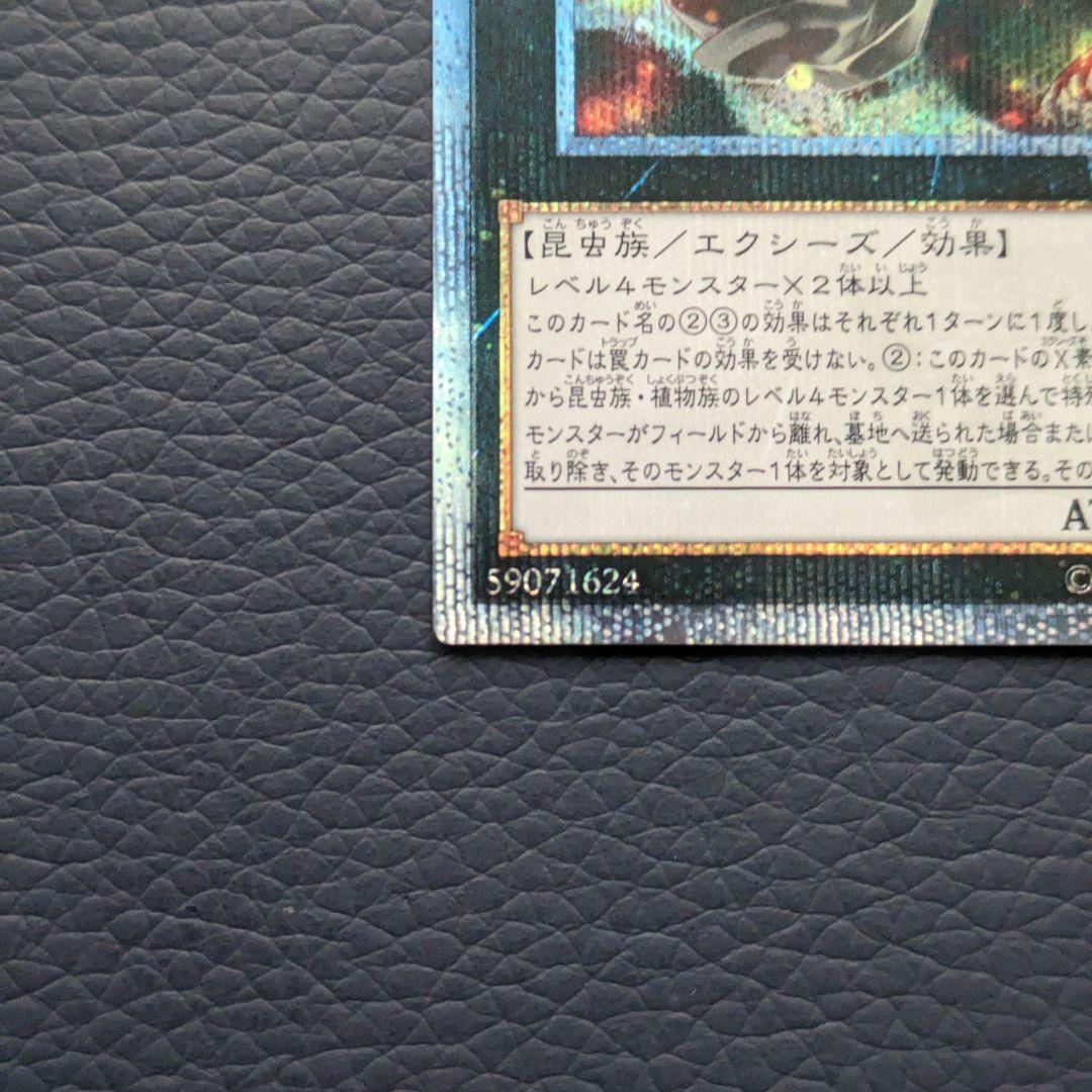 遊戯王　アロメルスの蟲惑魔　20th