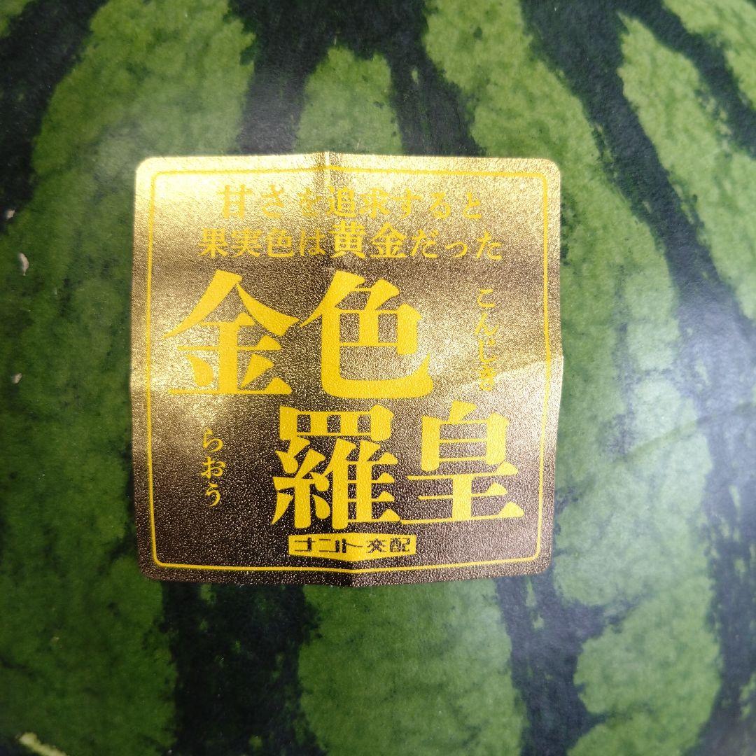 1 熊本県産　金色羅皇　スイカ 大玉 約10キロオーバー　 現品