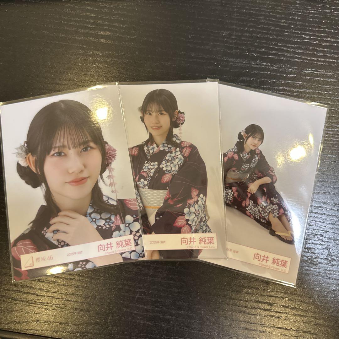 櫻坂46向井純葉　直筆　2025年浴衣 櫻坂46 向井純葉 2025年 浴衣 - メルカリ