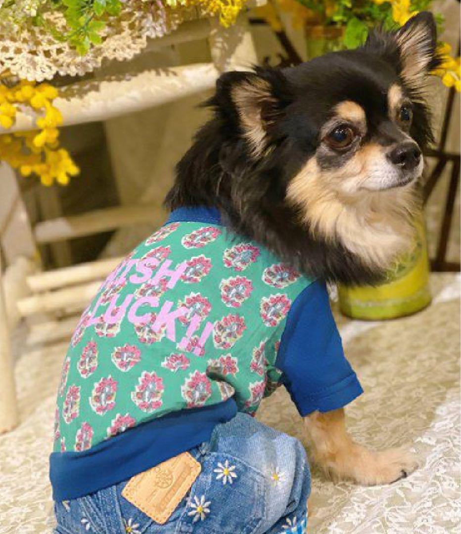 犬服　 アズノウアズデワン as know as de wan 4 de wan preorder - AS KNOW AS | アズノゥアズ