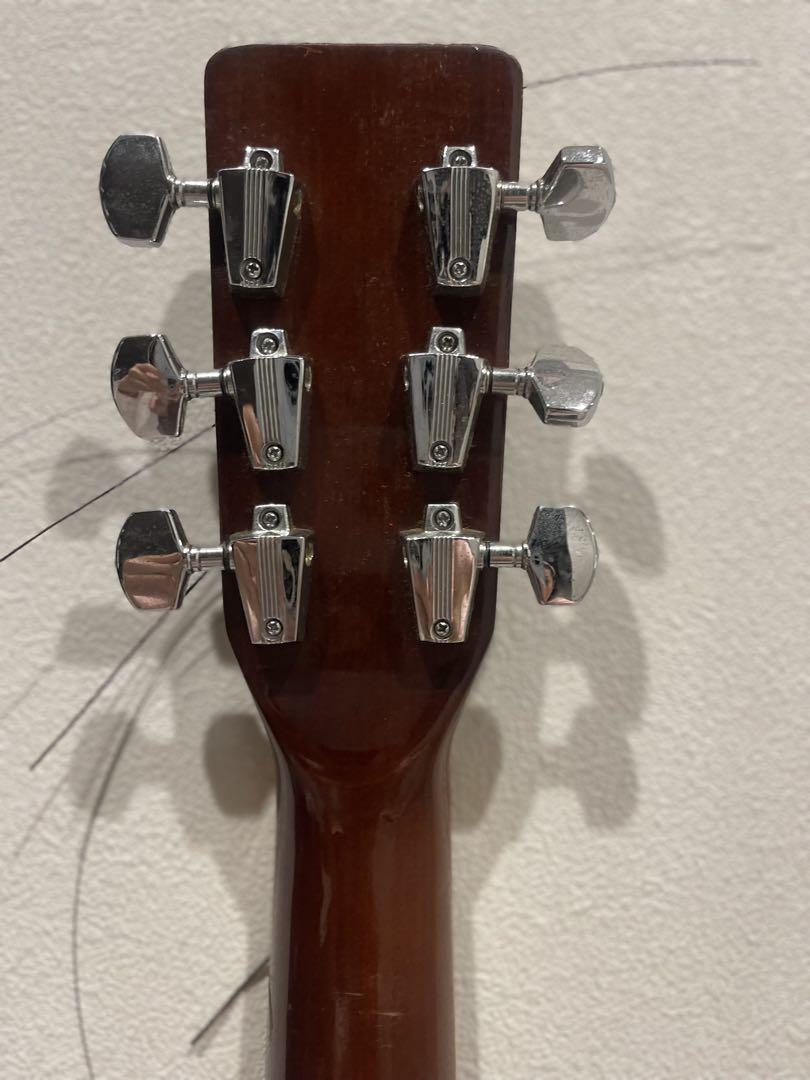 プロマーティン（Pro Martin）のアコースティックギター　W-250
