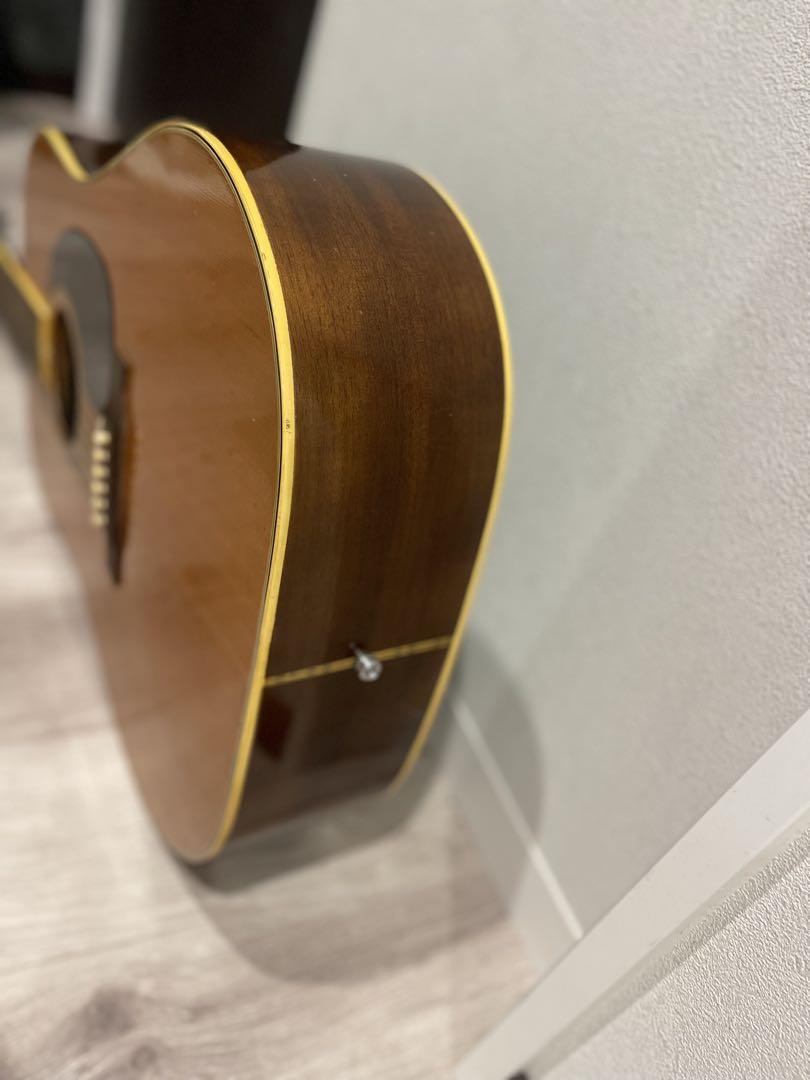 プロマーティン（Pro Martin）のアコースティックギター W-250