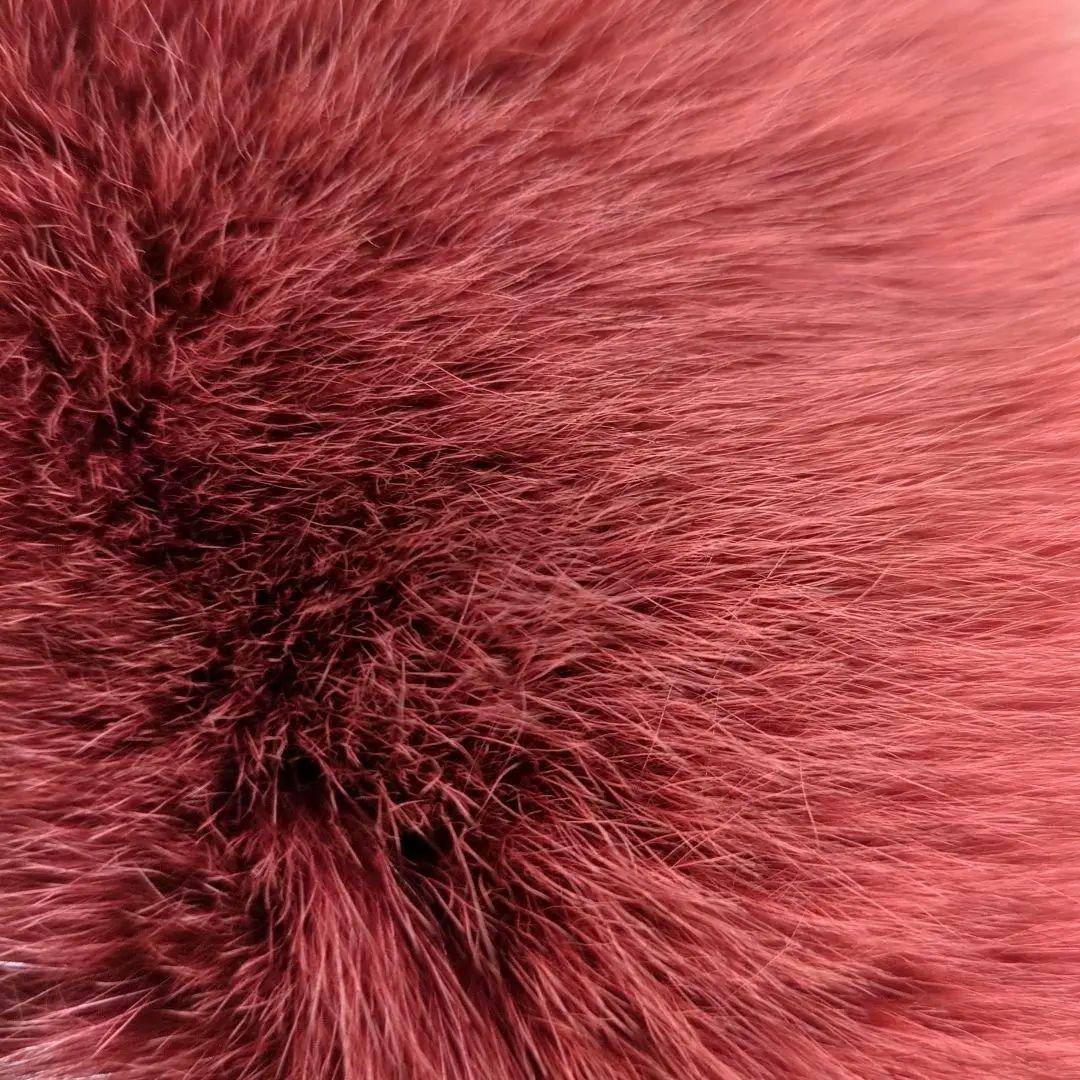 シャドーFOX
