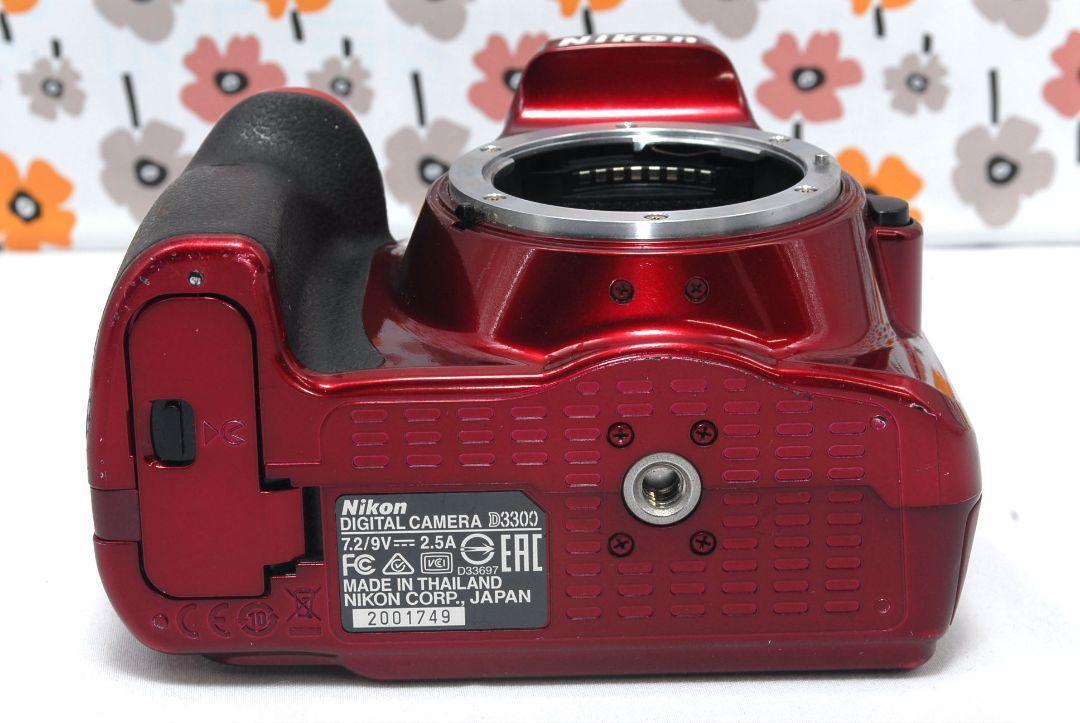 D3300
