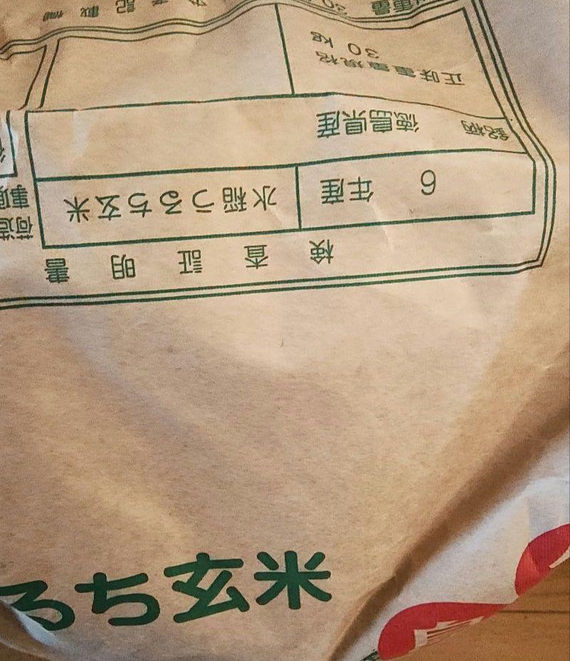 びゅーるれです 新米 令和6年 10kg 徳島県産 コシヒカリ 農家直送