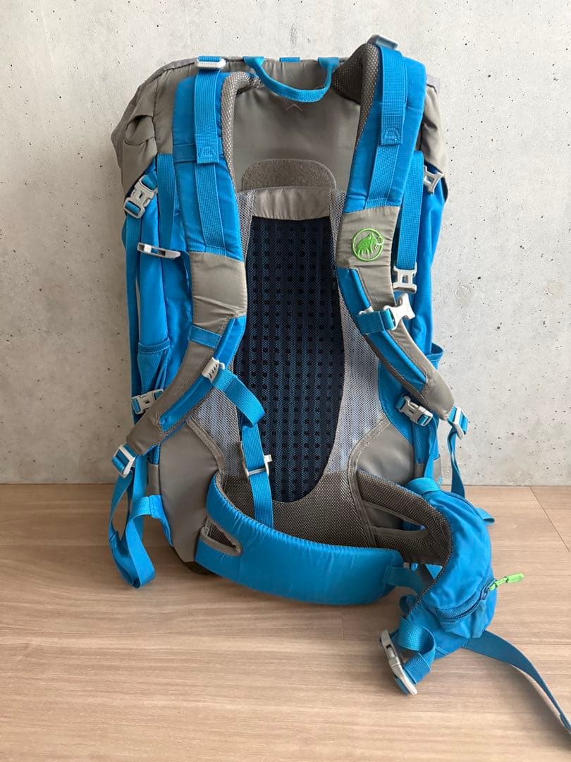 MAMMUT 大容量バックパック 青/グレー