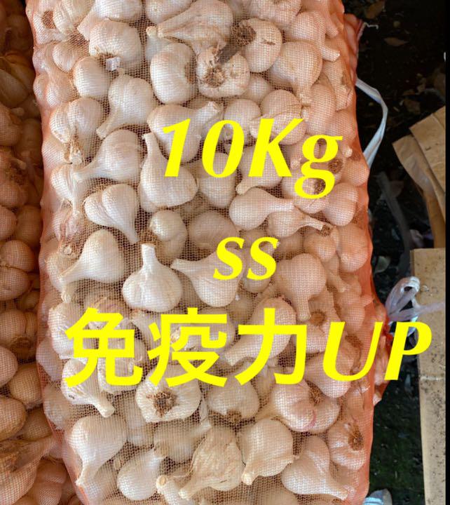 激安の 青森県にんにく10Kg小 早い者勝ち - 野菜 - www.smithsfalls.ca 激安の 青森県にんにく10Kg小 早い者勝ち - 野菜 - www.smithsfalls.ca